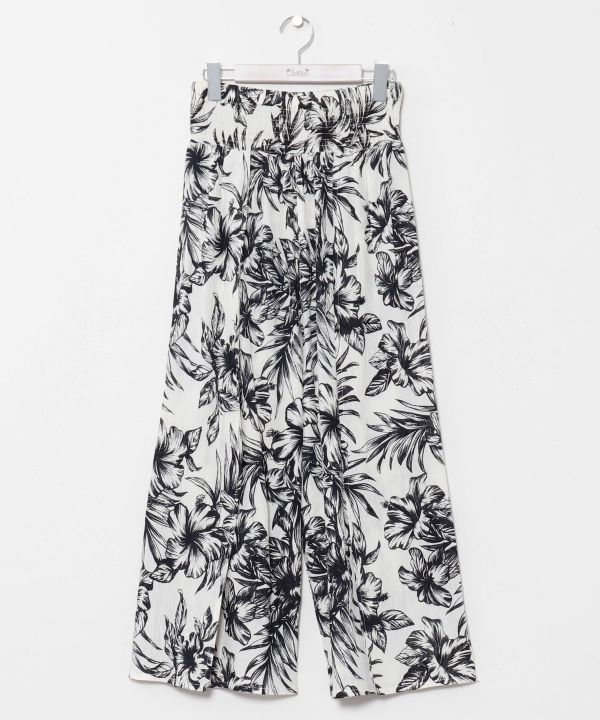 �n�J���E�p���c