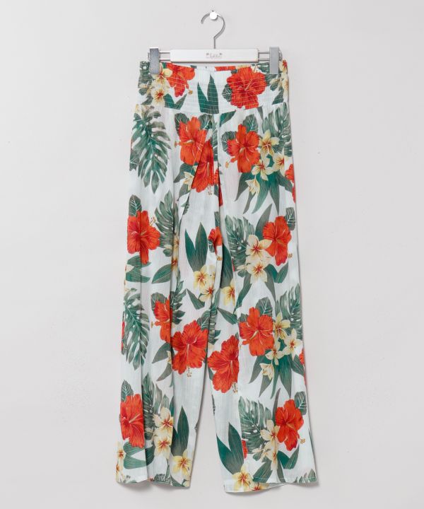 �n�J���E�p���c