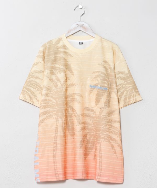 �J�J�p�����YT�V���c�ySURF&Palms�z