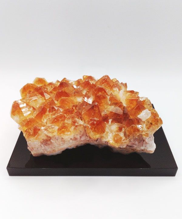 �y��_���z�V�g�����N���X�^�[506g