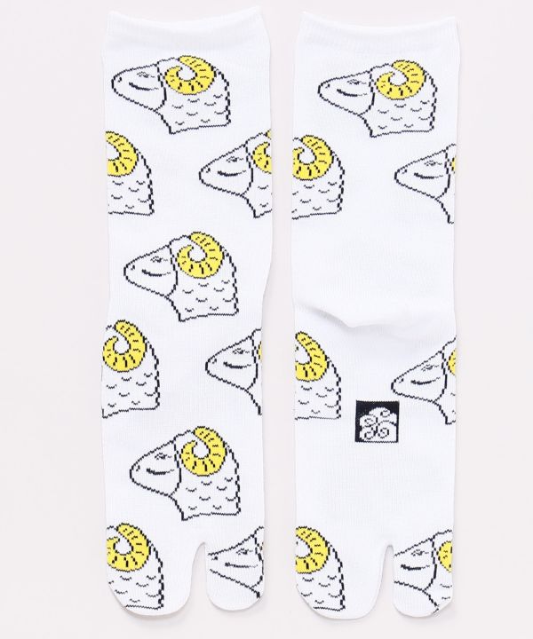 ���̌Q�ꑫ�܁i23-25cm�j