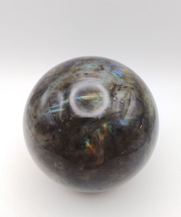 �y��_���z���u���h���C�g�ۋ�640g