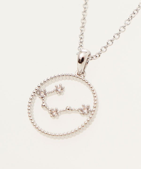 �T�[�N���T�C���V���o�[�l�b�N���X