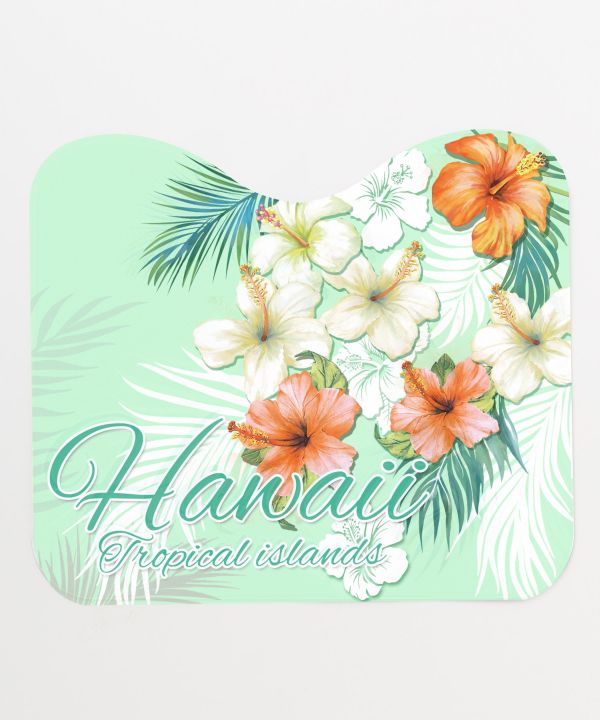 �A�i�p�g�C���o�u�b�}�b�g