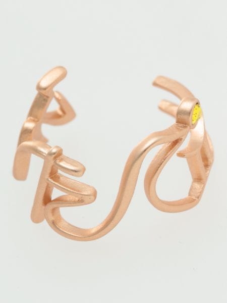 ���̏h�胊���O(�ӂ�����)