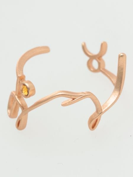 ���̏h�胊���O(��������)