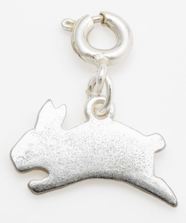 �\��x�`���[���@�V���o�[