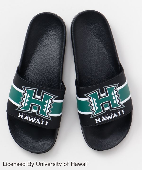 V[T_yUniversity of Hawaiiz