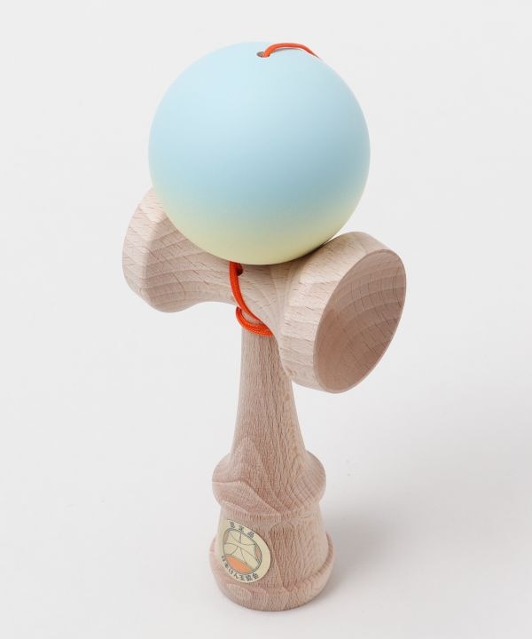 ���Z�p�P����  ���