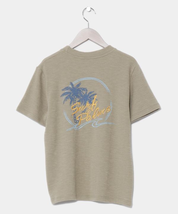 TsVcySURF&Palmsz