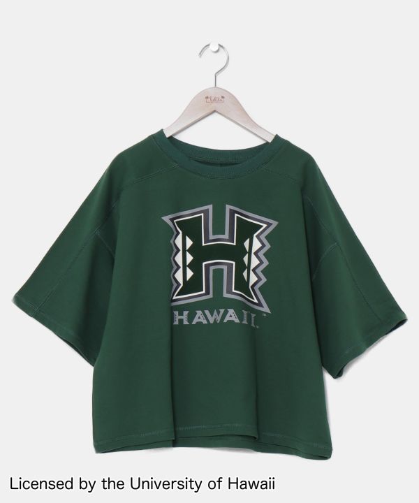 ウラケロゴＴシャツ【University of Hawaii】