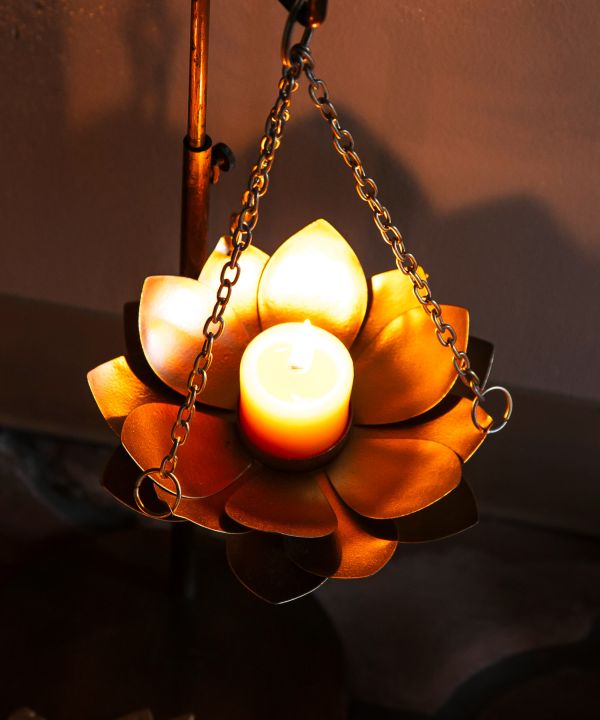 ���[�^�X�L�����h���z���_�[