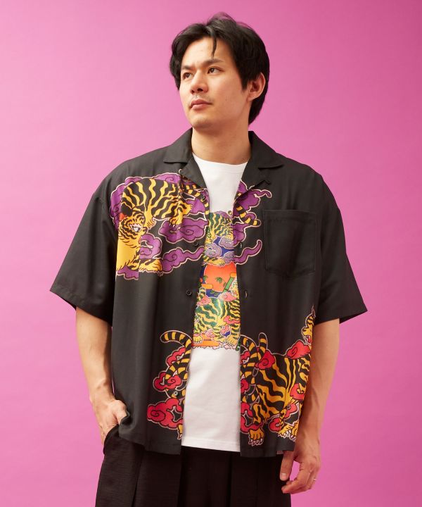 �����V���c�s�����ǎq×�`����J���t