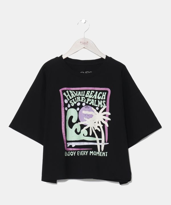 yڐG⊴z[ATVcySURF&Palmsz