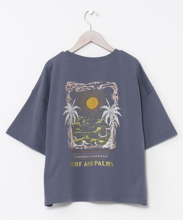 AhA[msVcySURF&Palmsz