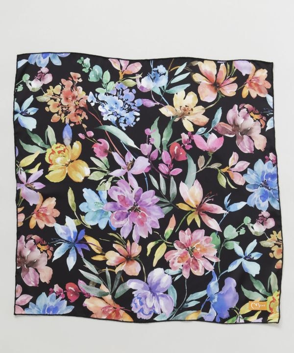 �yFrom�t�����X�z�~�����[�Y�u���[���X�J�[�t