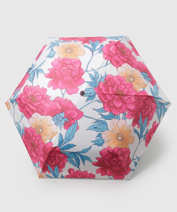 �ԕւ�܂肽���ݓ��P�y���J���p�E�Ռ���99.99%�z