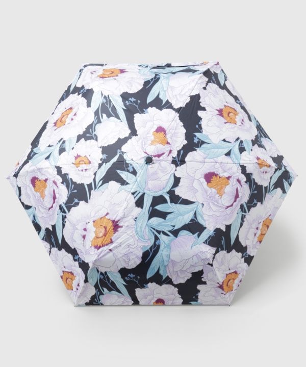 �ԕւ�܂肽���ݓ��P�y���J���p�E�Ռ���99.99%�z