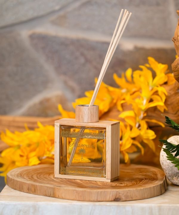 ���[�A�E�f�B�t���[�U�[