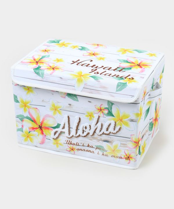 �n���n���X�g���[�W�a�n�w