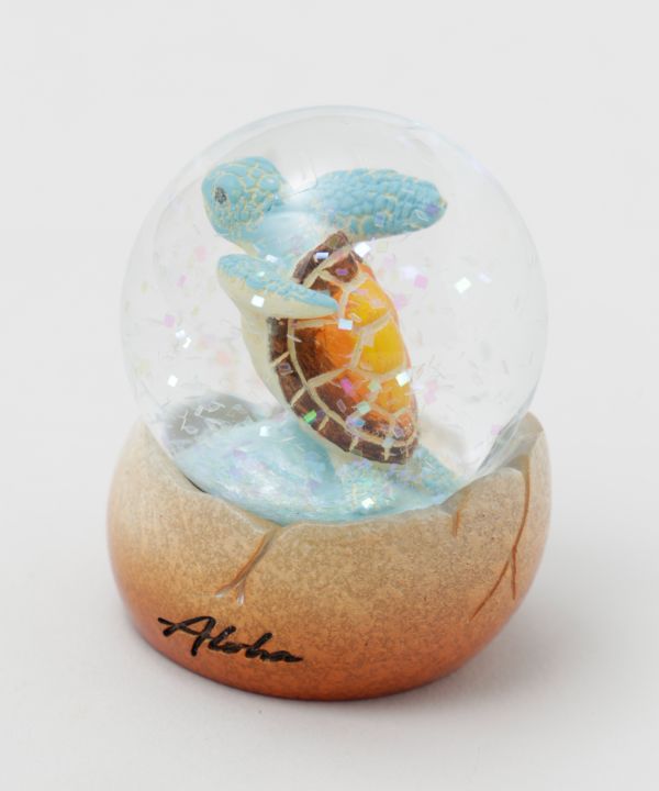 �X�C���z�k�X�m�[�h�[���r