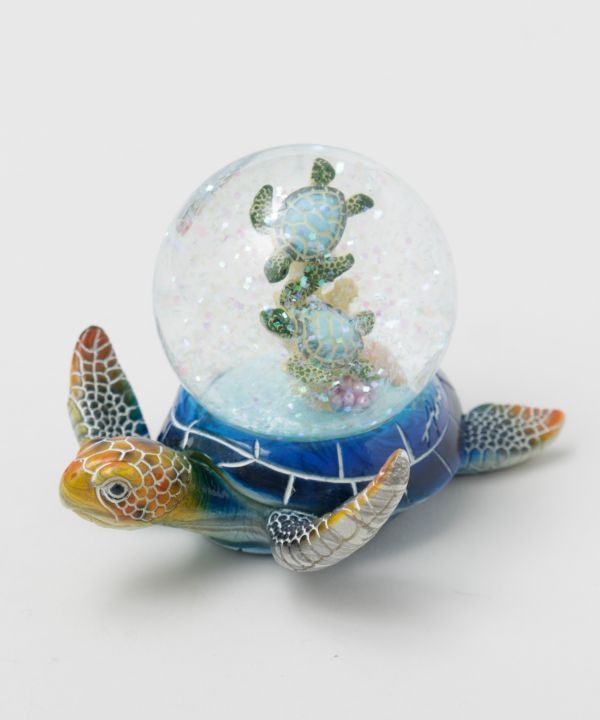 �X�C���z�k�X�m�[�h�[���l