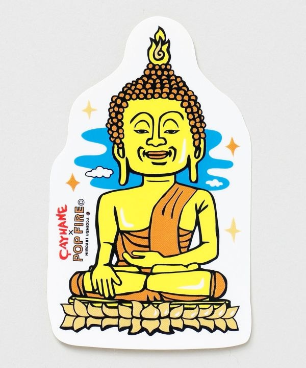 ^CXebJ[yAmina×POP FIRER{z