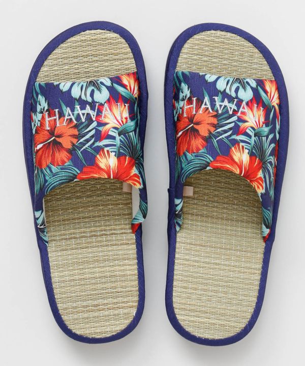 �P�C�n���C�X���b�p