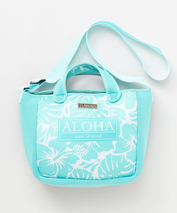 ���A�z���V�����_�[