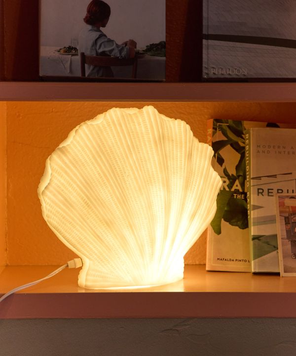 ���m�V�F�������v �k