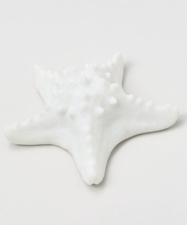 ���m�X�^�[�t�B�b�V�������v �r