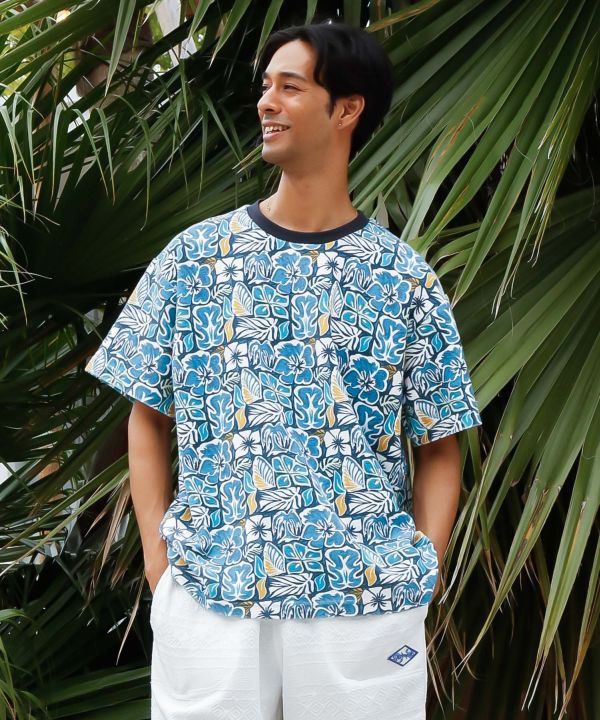 ���A�A�����Y�s�V���c