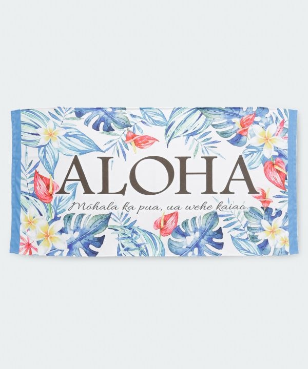 ���A�i�r�[�`�^�I��