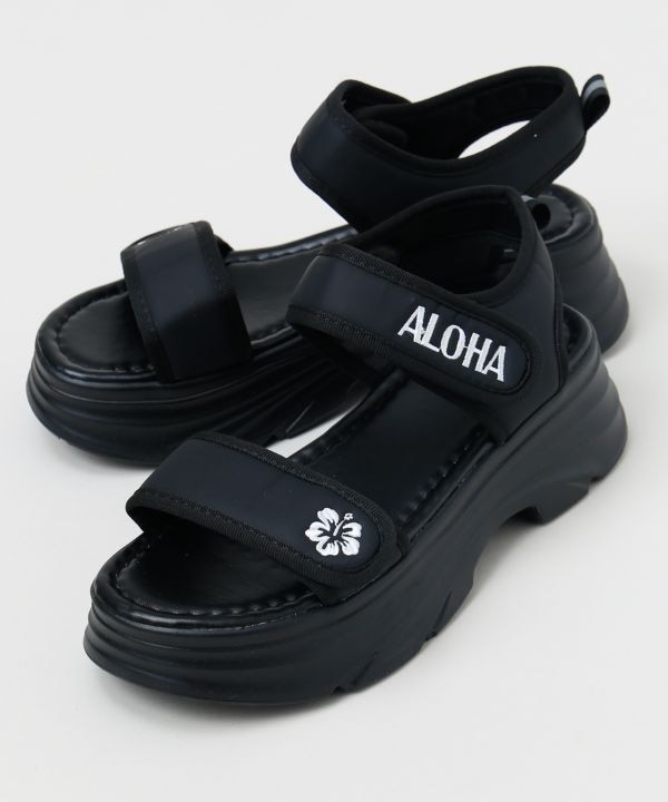 ���A�n�C�r�X�J�X�T���_��