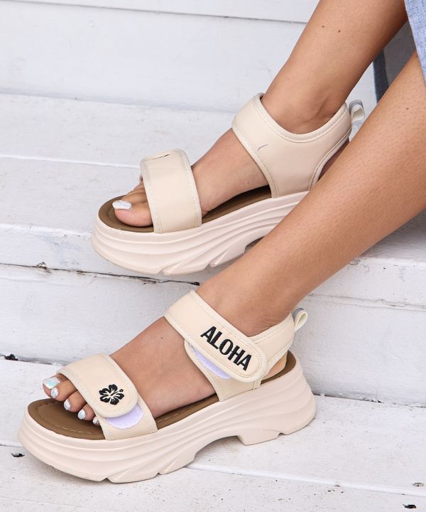 ���A�n�C�r�X�J�X�T���_��