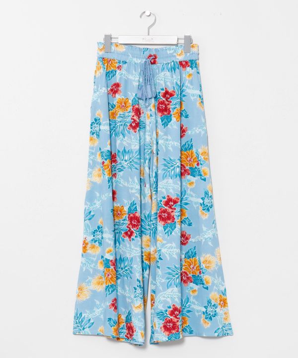 �P�N�v�A�p���c