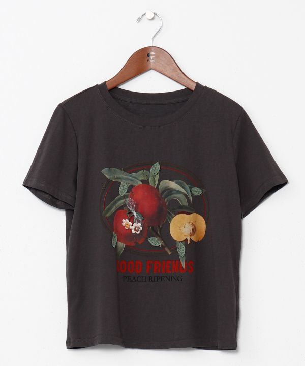 �O�b�t��T�V���c