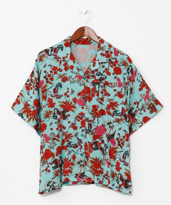 �{�w�N�����J�݃V���c