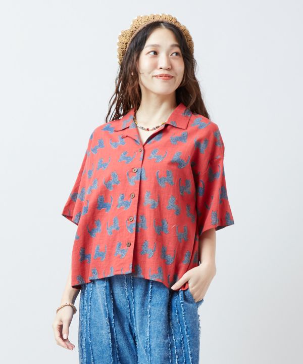 �n���V���V���c