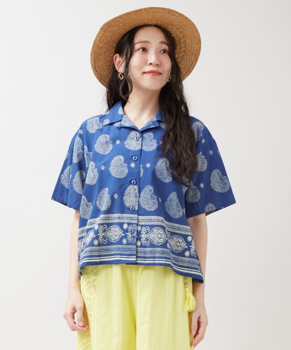 �f�B�u���i�V���c