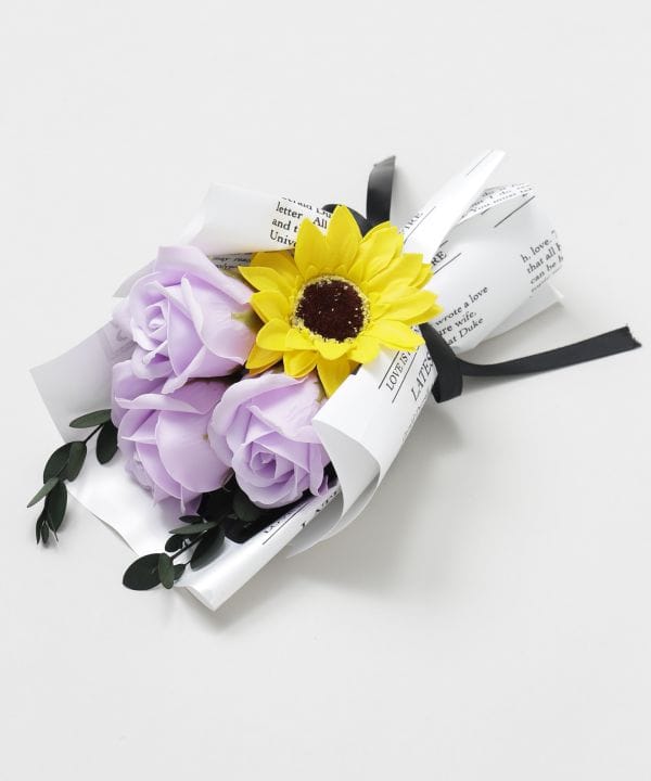 �t���[�u�[�P