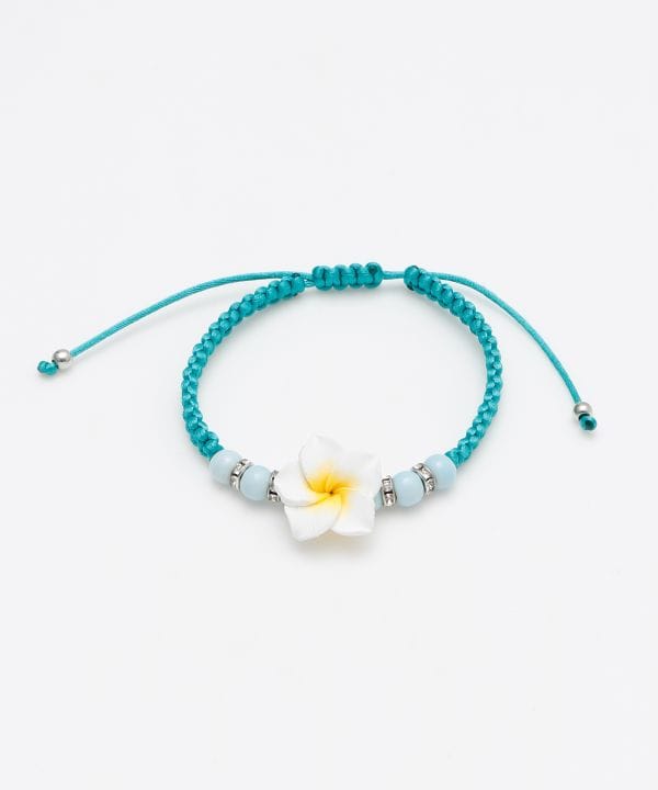 �v�����A�~�u���X