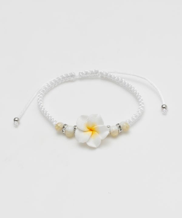 �v�����A�~�u���X