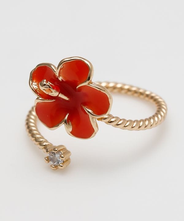 �A���A�����m�g�D�[�����O