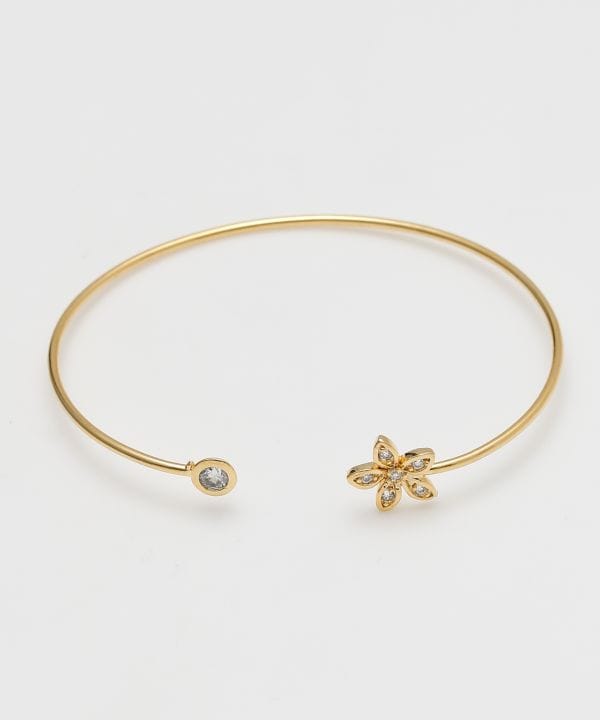 �z�N�t�����[�o���O��