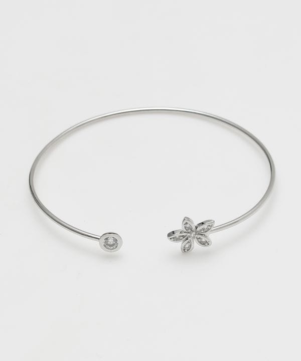 �z�N�t�����[�o���O��