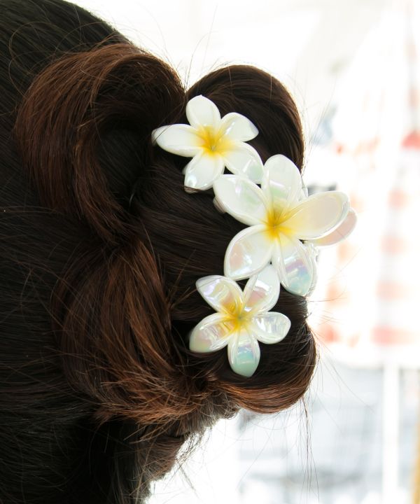 �v�A���C�w�A�N���b�v