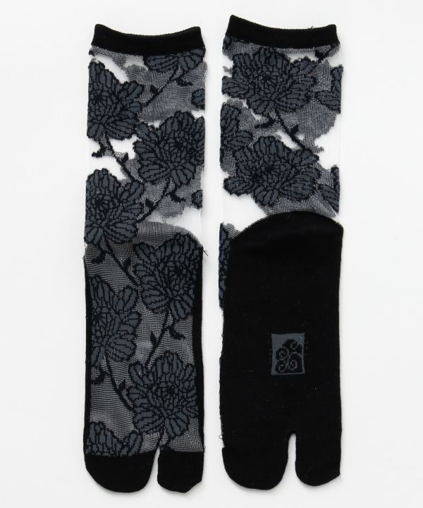 �a���_���������܁i23-25cm�j