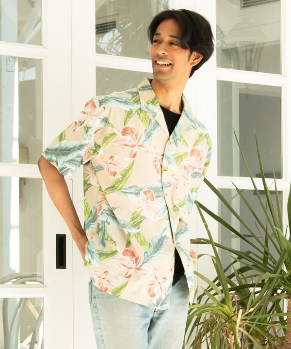 �n�J���E�����Y�V���c