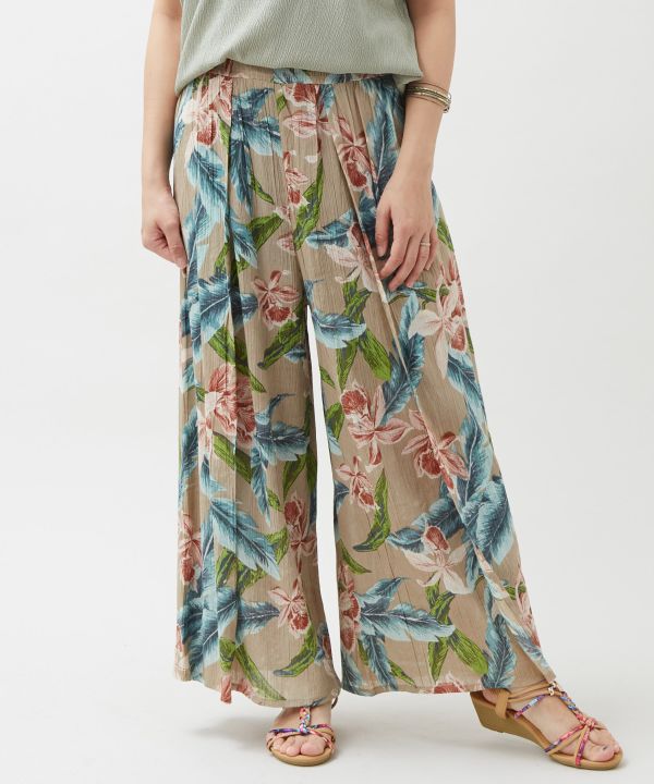 �n�J���E�p���c